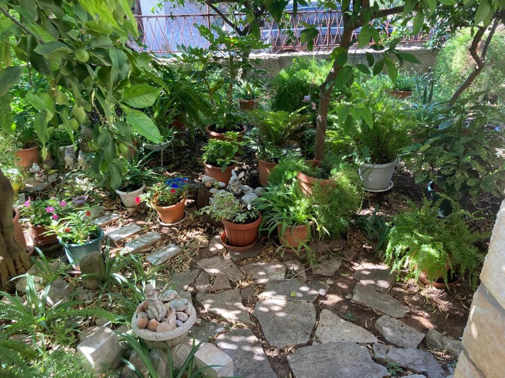 ילסה Villa Marga מראה חיצוני תמונה