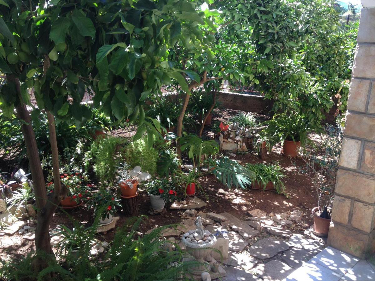 ילסה Villa Marga מראה חיצוני תמונה